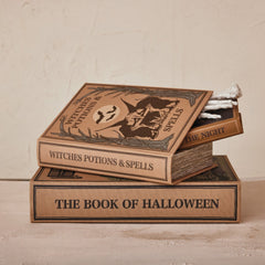 Halloween Linen Book Storage Boxes | 3 Styles