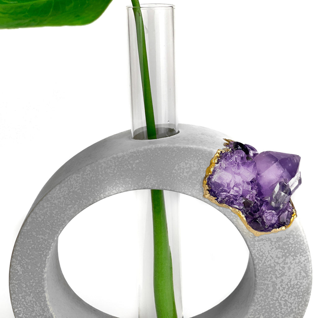 Amethyst Propagation Station