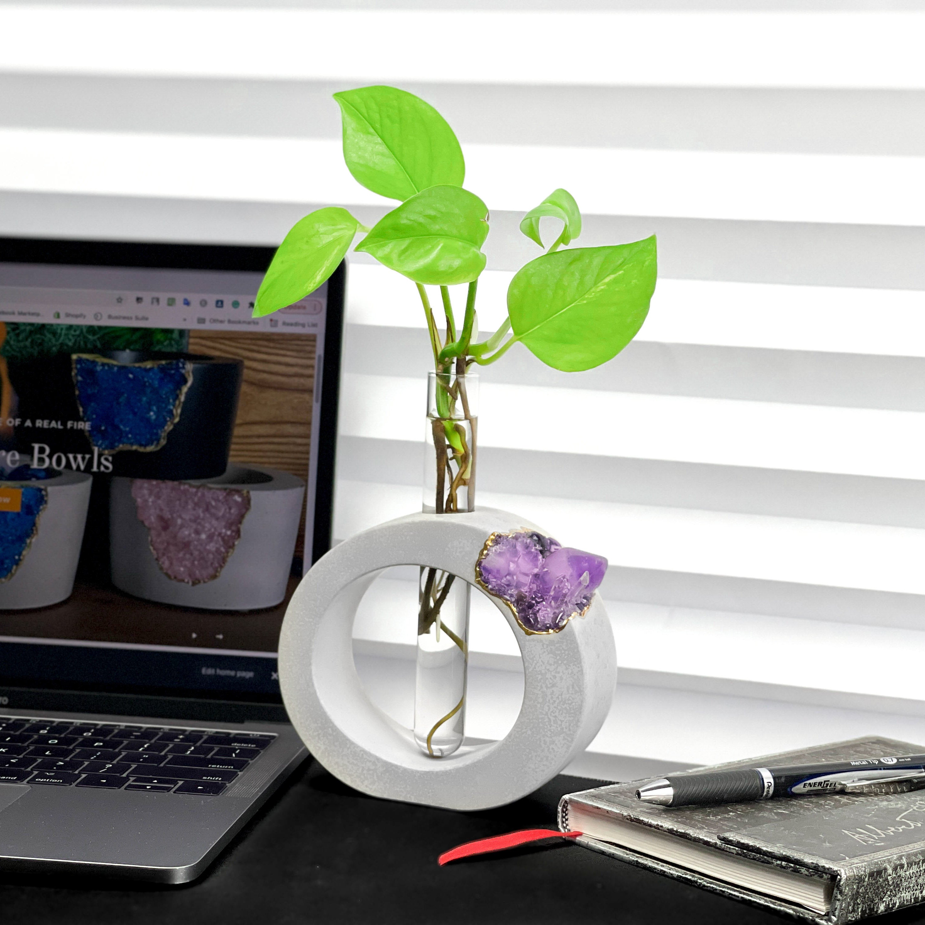 Amethyst Propagation Station