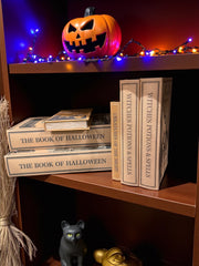 Halloween Linen Book Storage Boxes | 3 Styles