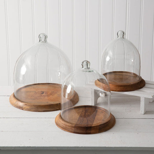 Large Wooden Base Glass Cloche Display Dome