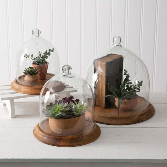 Large Wooden Base Glass Cloche Display Dome Default Title