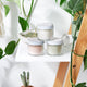 Clay Face Mask Trio Rose Clay French Green Clay Kaolin Clay Turmeric Kelp Calendula