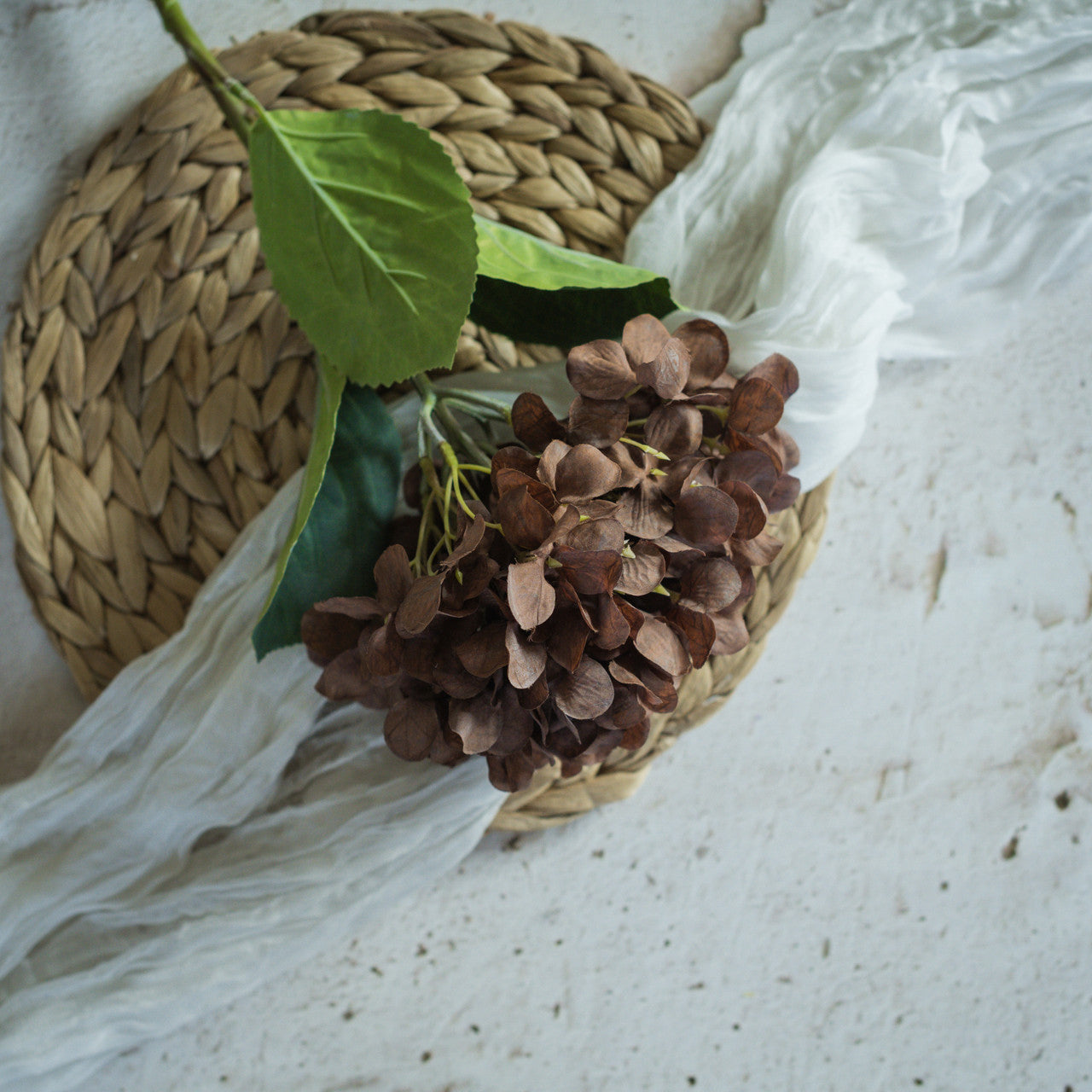 Brown Hydrangea Spay Secondary image