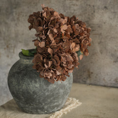 Brown Hydrangea Spay