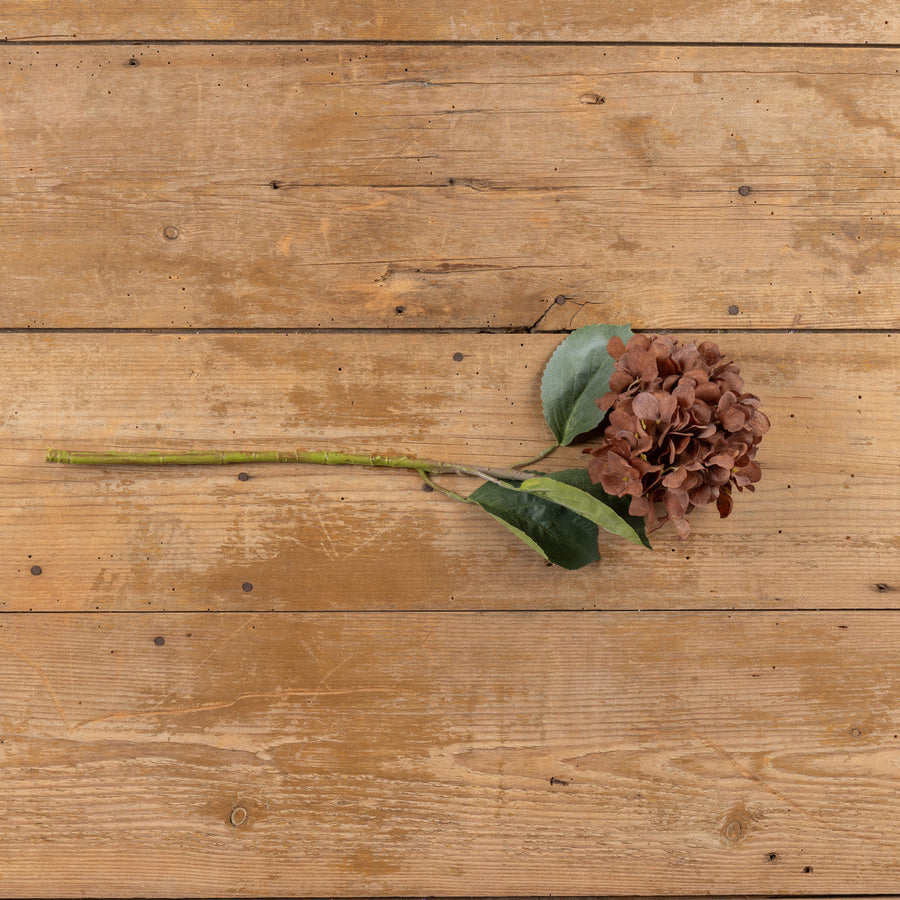 Brown Hydrangea Spay