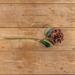 Brown Hydrangea Spay