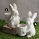 Cement Basket Bunny , 2 Style Options