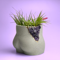 Amethyst Butt Planter
