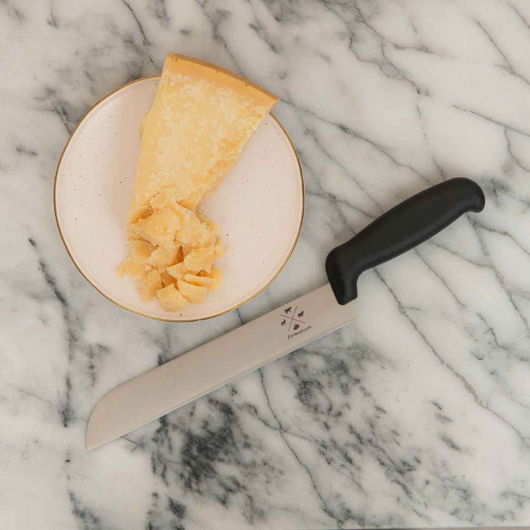 Professional Cheese Knife - Plastic Handle Main image