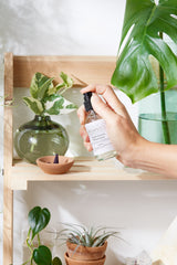 Organic Pillow Mist / Aromatherapy / Relaxing Essential Oils / Gentle Sleep / Butter Me Up Organics