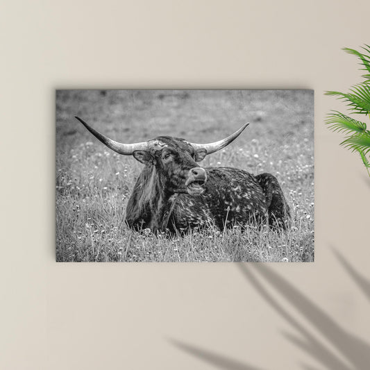 Black And White Longhorn Bull Canvas Wall Art 36x24 inch Extra Large Premium Gallery Wrapped