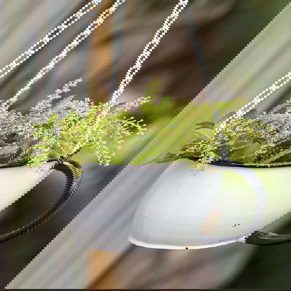 Tea Cup Bird Feeder Default Title