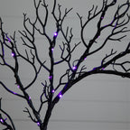 23” Pre-Lit Halloween Black Fall Wreath with 60 Orange & Purple LED Lights