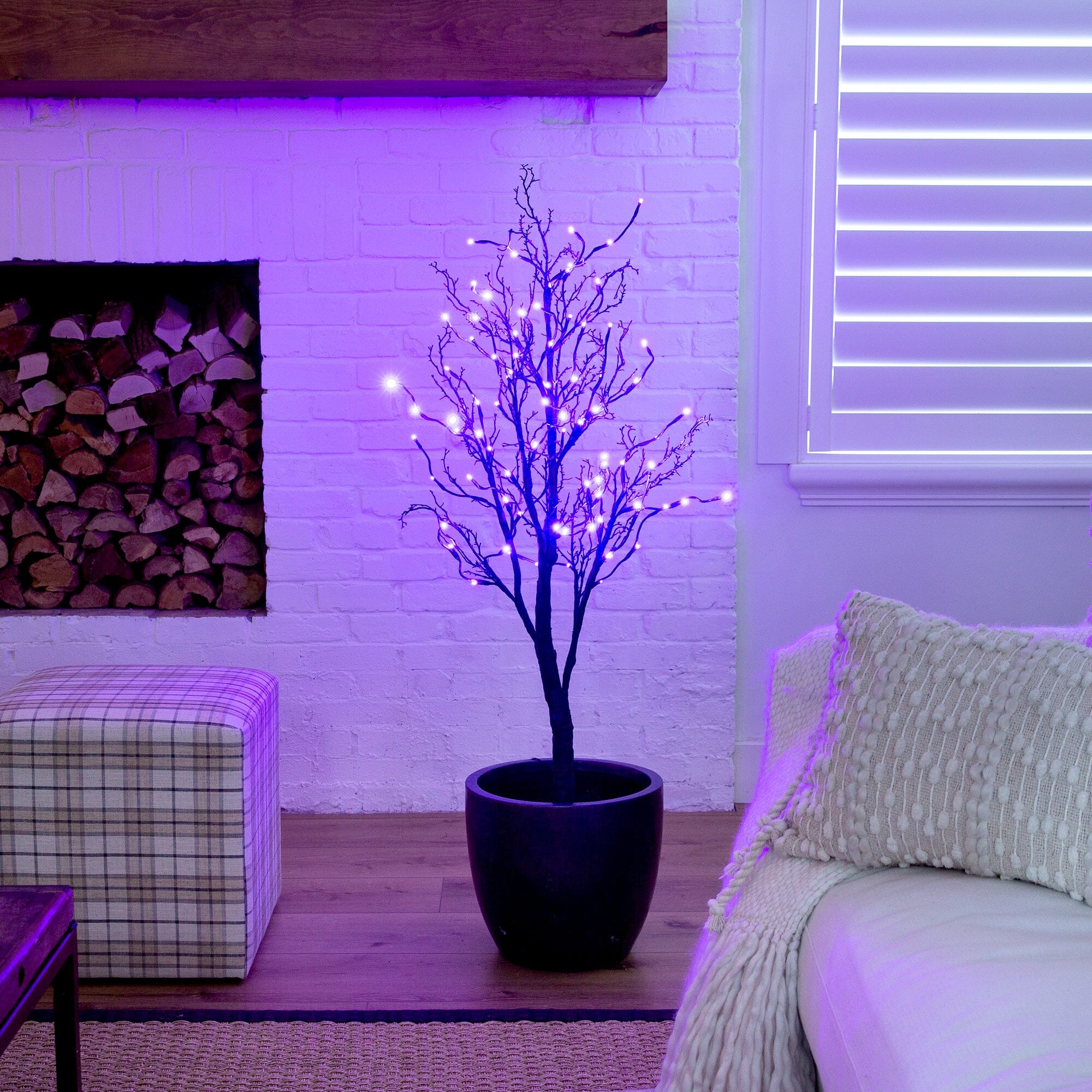 4’ Pre-Lit Halloween Deluxe Black Twig Artificial Tree with 81 Orange & Purple LED Lights Main image