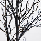 4’ Pre-Lit Halloween Deluxe Black Twig Artificial Tree with 81 Orange & Purple LED Lights