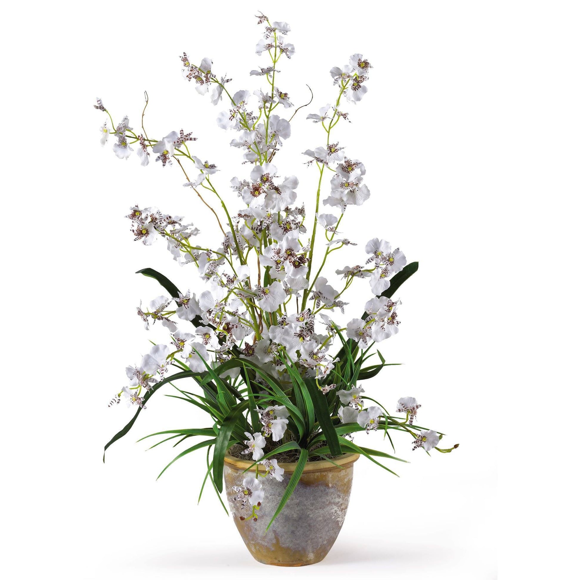 Dancing Lady Silk Orchid Arrangement White