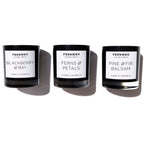 Blackberry & Bay Scented Soy Candle