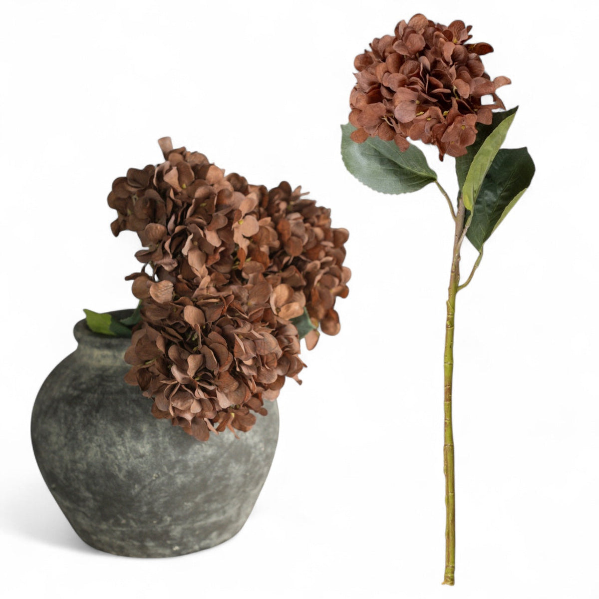 Brown Hydrangea Spay