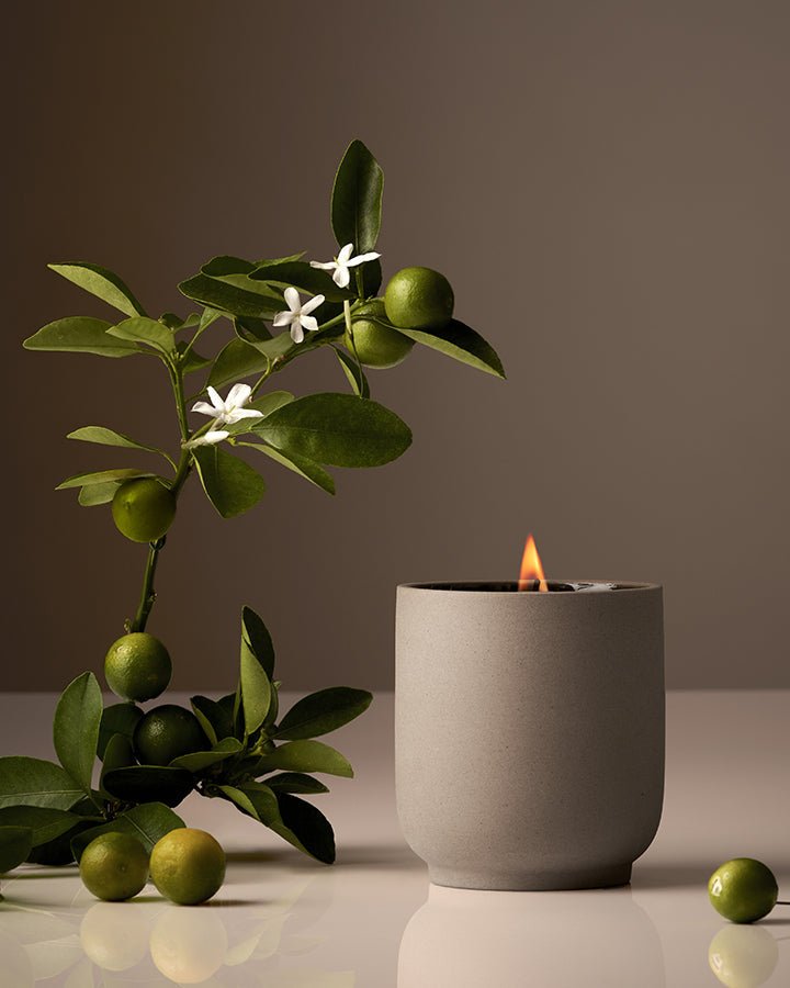 Candle Neroli Leaf