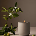 Candle Neroli Leaf