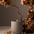 Candle Cece