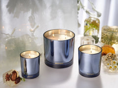 Cardamom Chestnut 3-Wick Candle
