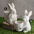 Cement Basket Bunny , 2 Style Options