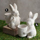 Cement Basket Bunny , 2 Style Options