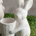 Cement Basket Bunny , 2 Style Options