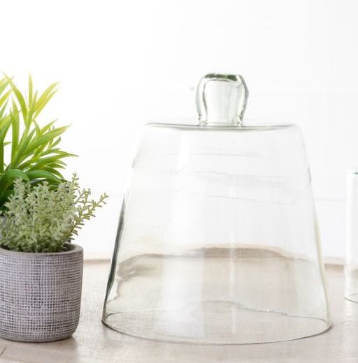Cloche Bell Jar Main image