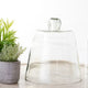 Cloche Bell Jar