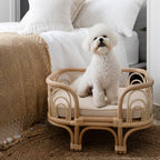 Amber Pet Bed - Small