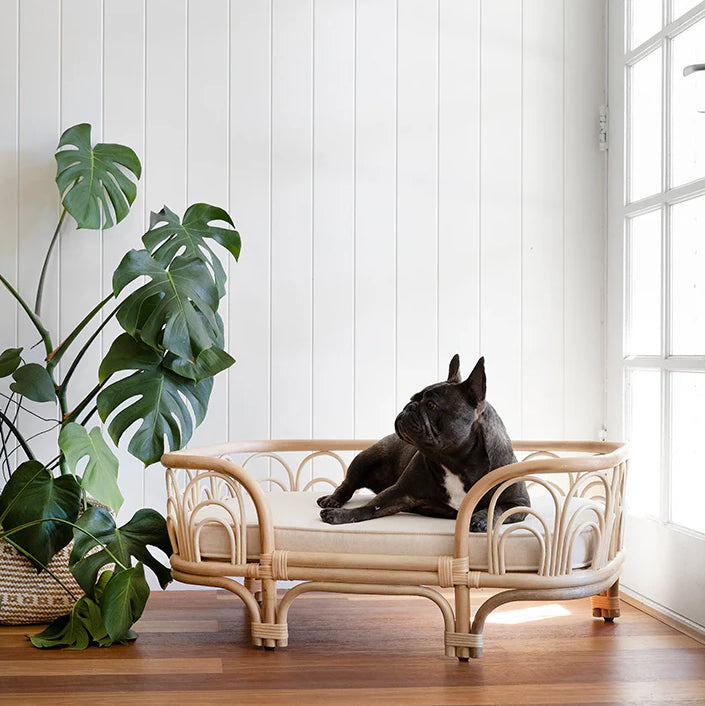 Amber Pet Bed Secondary image