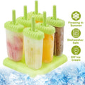 Reusable Plastic Popsicle Mold For Homemade Iced Snacks