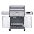 Eminence 405 | Chic Clearview® Smart Stainless Gas Grill