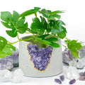 3" Geode Planter