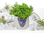 3" Geode Planter