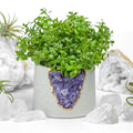3" Geode Planter
