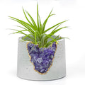 3" Geode Planter