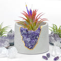 3" Geode Planter