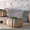 Fall Ombre Cement Pumpkin Planters | 3 Sizes