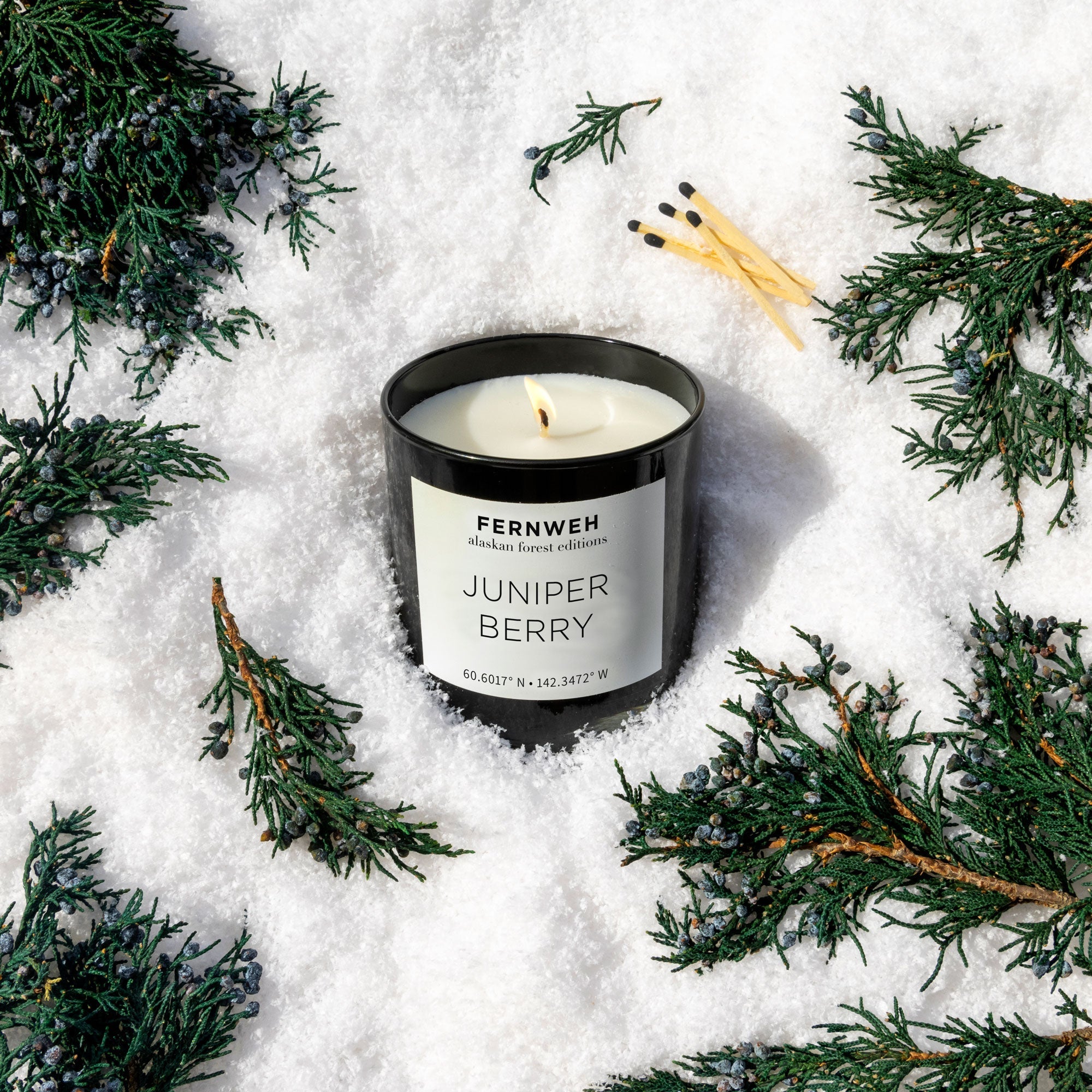 Juniper Berry Scented Soy Candle Classic (11 oz) Main image