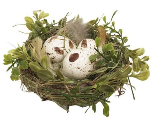 5.5" Angelvine Nest with 3 Eggs