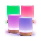 Friendship Lamp Set of Four