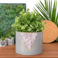 6 inch Rose Quartz Planter