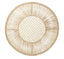 Radiant Woven Placemat Solid Color