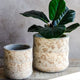 Set of 2 Center Line Splatter Planters