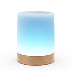 Friendship Lamp Single Lamp
