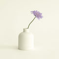 Spiritual Reed Diffuser